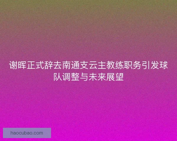 谢晖正式辞去南通支云主教练职务引发球队调整与未来展望